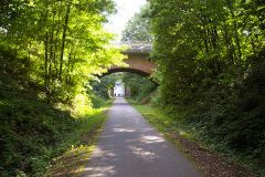 IMGP5962