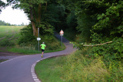 IMGP6219