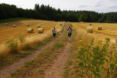 IMGP4972