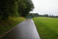 IMGP5442