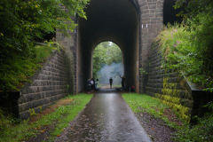 IMGP5595